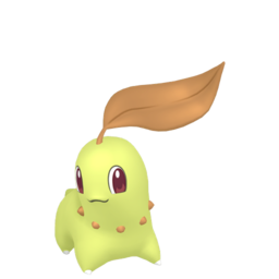 Chikorita - Home