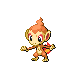 Chimchar - Diamond Pearl (Normal)