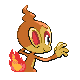 Chimchar - Platinum (Back View)