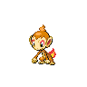 Chimchar - Black White (Normal)