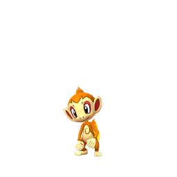 Chimchar - GO (Normal)