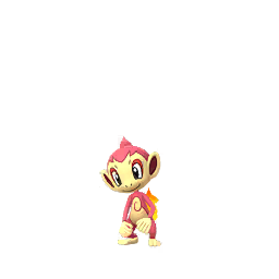 Chimchar - GO (Shiny)