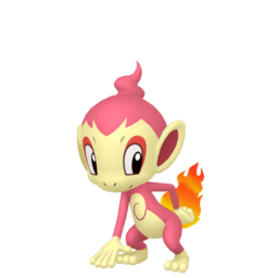 Chimchar - Home