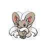 Cinccino - Black White (Normal)