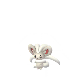Cinccino - GO (Normal)