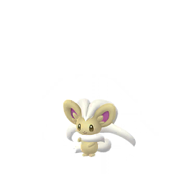 Cinccino - GO (Shiny)