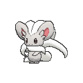 Cinccino - X Y (Normal)