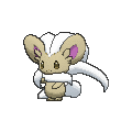Cinccino - X Y (Shiny)