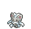 Cinccino - Sword Shield