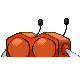 Combee - Diamond Pearl (Back View (Shiny))