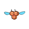 Combee - X Y (Shiny)