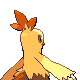 Combusken - Diamond Pearl (Back View (Shiny))