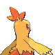 Combusken - HeartGold SoulSilver (Back View)