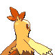 Combusken - Platinum (Back View (Shiny))