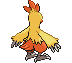 Combusken - Black 2 White 2 Black White Animated (Back View)