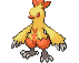 Combusken - Black 2 White 2 Black White Animated (Normal)