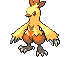 Combusken - Black 2 White 2 Black White Animated (Shiny)