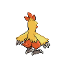 Combusken - Black White (Back View)