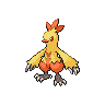Combusken - Black White (Normal)