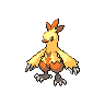 Combusken - Black White (Shiny)