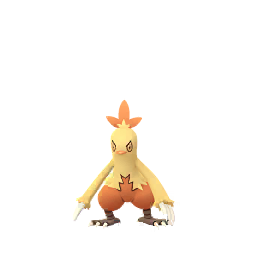 Combusken - GO (Normal)