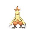 Combusken - Omega Ruby Alpha Sapphire (Normal)