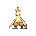 Combusken - X Y (Shiny)