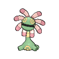 Cradily - X Y (Normal)