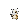 Cubone - X Y (Normal)