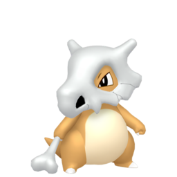 Cubone - Home