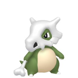Cubone - Home