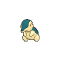 Cyndaquil - X Y (Normal)