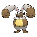 Diggersby - X Y (Normal)