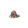Diglett - Black White (Shiny)