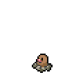 Diglett - Sword Shield