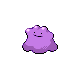 Ditto - Platinum (Normal)
