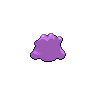 Ditto - Black White (Back View)