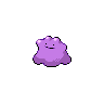 Ditto - Black White (Normal)