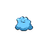 Ditto - Black White (Shiny)
