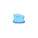 Ditto - Bank (Shiny)