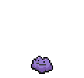 Ditto - Sword Shield