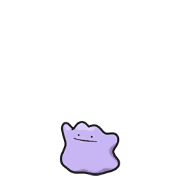 Ditto - Scarlet Violet