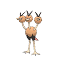 Dodrio - Bank