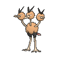 Dodrio - X Y (Normal)