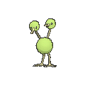 Doduo - X Y (Shiny)