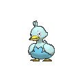 Ducklett - X Y (Normal)