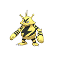 Electabuzz - Omega Ruby Alpha Sapphire (Normal)