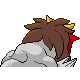 Entei - HeartGold SoulSilver (Back View)