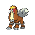 Entei - X Y (Normal)