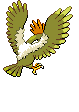Fearow - Black 2 White 2 Black White Animated (Back View (Shiny))